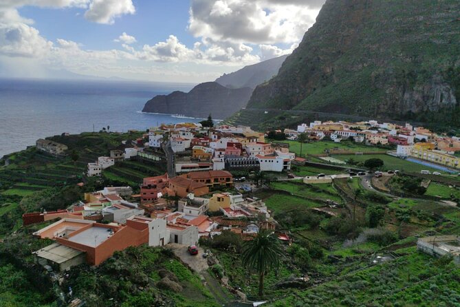 Full Day Guided Tour to La Gomera from Tenerife - Garajonay National Park: The UNESCO Laurel Forest Walk You Came For
