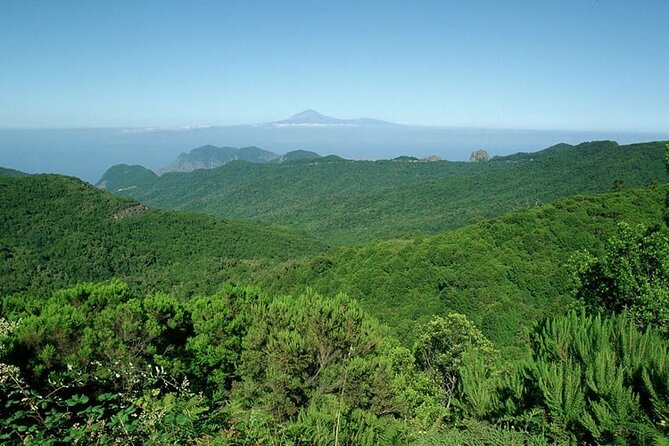 Full Day Guided Tour to La Gomera from Tenerife - Silbo, Lunch, and the Break That Makes the Whole Day Work