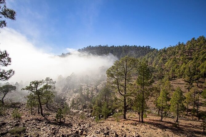 Full Day Small Group Tour to Masca and Teide From North Tenerife - A North Tenerife day built around Teide and Masca