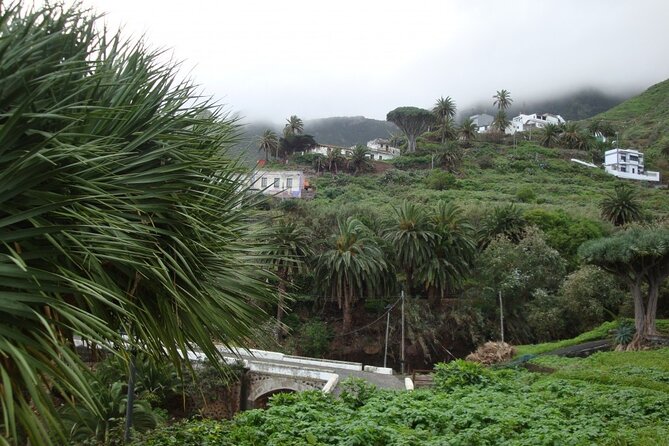 Full Day Tour of Santa Cruz and San Cristóbal de La Laguna - Key Points That Matter Before You Go