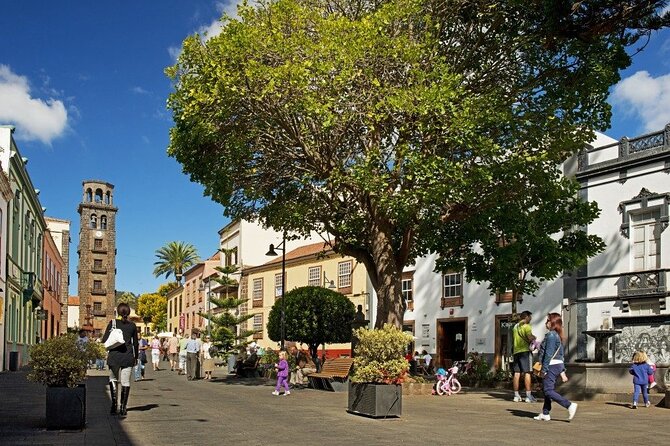 Full Day Tour of Santa Cruz and San Cristóbal de La Laguna - The Big Picture: What This 8-Hour Loop Looks Like