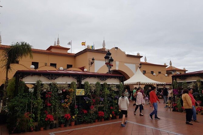 Full Day Tour of Santa Cruz and San Cristóbal de La Laguna - Parque Rural de Anaga: A Short Stop with Real Mountain Energy