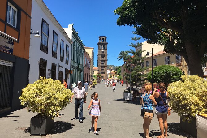 Full day tour visiting Santa Cruz, La Laguna and Anaga - Entering Anaga Rural Park: viewpoints and the time reality