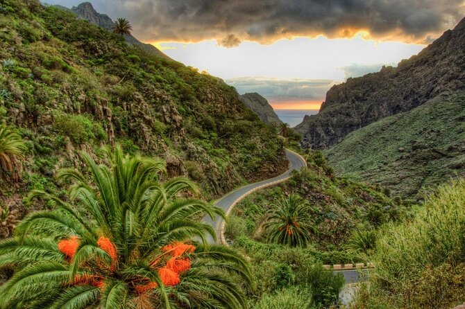 Full-Day Vip Masca and Teide Tour From South Tenerife - Getting the most out of your 8 hours: what to bring and how to time yourself