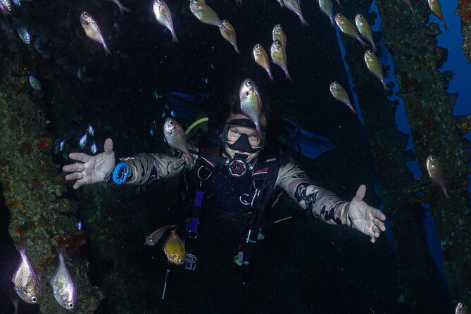 Fun Dive With Scuba Point in Los Cristianos - What You’ll See in the Water Around Pal mar