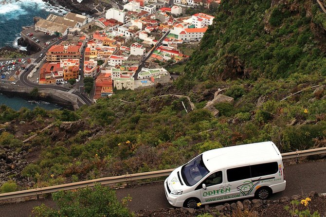 Get to know the Teide National Park and the north of Tenerife on a private tour - Your guide matters more than you think, especially at Teide