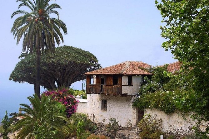 Go West - VIP Private Tour in Tenerife to Masca, Garachico and Icod - Acantilado de los Gigantes: cliffs first, photos always