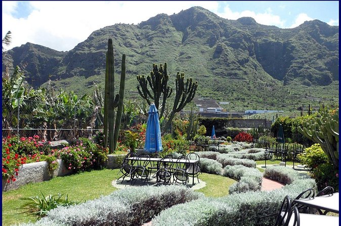 Go West - VIP Private Tour in Tenerife to Masca, Garachico and Icod - Natural Park of Teno: the long scenic drive