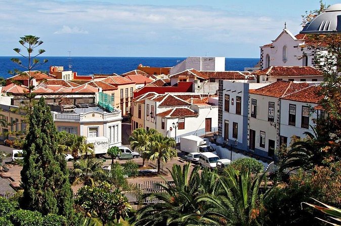 Go West - VIP Private Tour in Tenerife to Masca, Garachico and Icod - Garachico: lava damage turned into a town you can read
