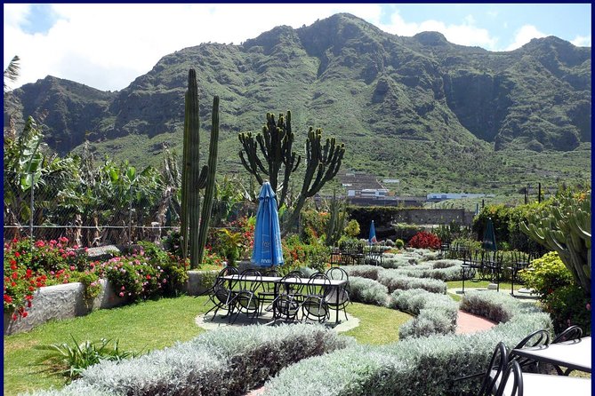Go West - VIP Private Tour in Tenerife to Masca, Garachico and Icod - Price and value: where the $198.50 really goes
