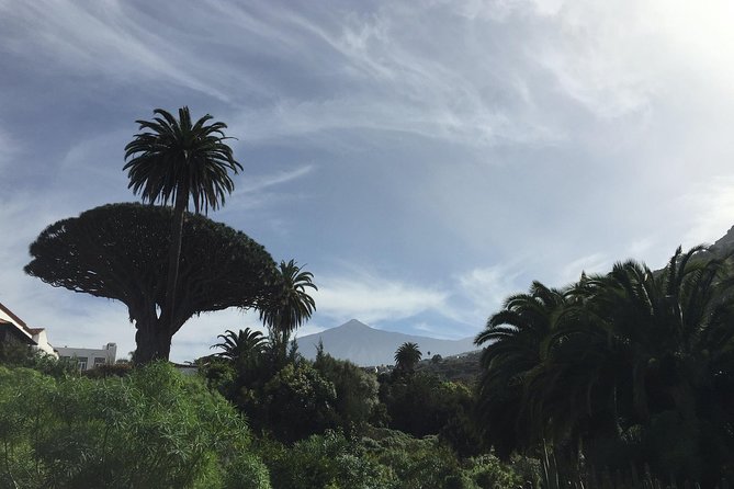 Grand Tour Tenerife - Full-Day Private VIP Tour - Hotel Pickup and Getting Rolling on Tenerife South
