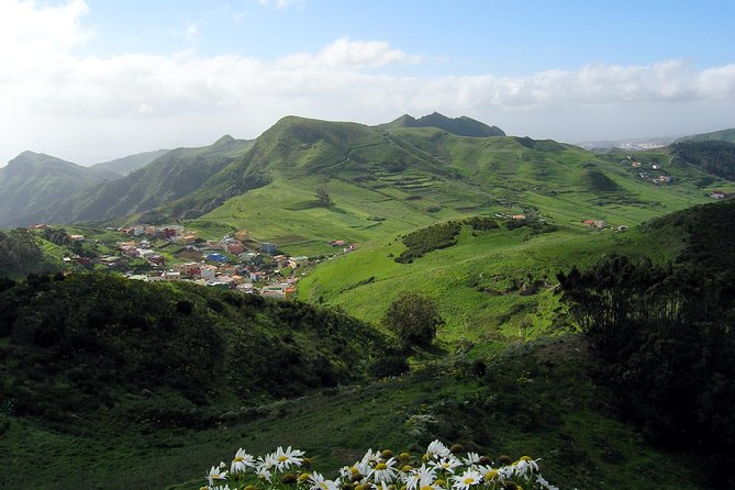 Grand Tour Tenerife - Full-Day Private VIP Tour - Buenavista del Norte: Lunch and a Reset Between Island Halves