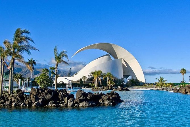 Grand Tour Tenerife - Full-Day Private VIP Tour - El Drago Milenario: The Old Dragon Tree Moment