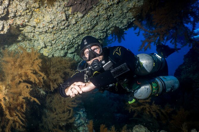 Guided Boat Dives for Certified Divers - From Playa de las Américas to Los Cristianos Harbour: How the Day Flows
