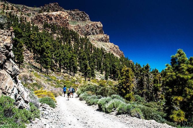 Guided Hike - The Tajinaste Trail - The picnic break: included, but plan your snacks