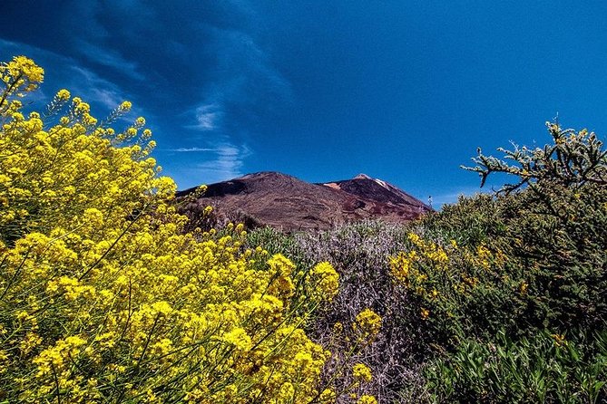 Guided Hike - The Tajinaste Trail - Who this hike fits best (and who should consider another option)