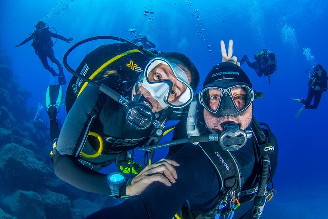 Guided Immersion from Santa Cruz de Tenerife - Key Highlights to Know Before You Go