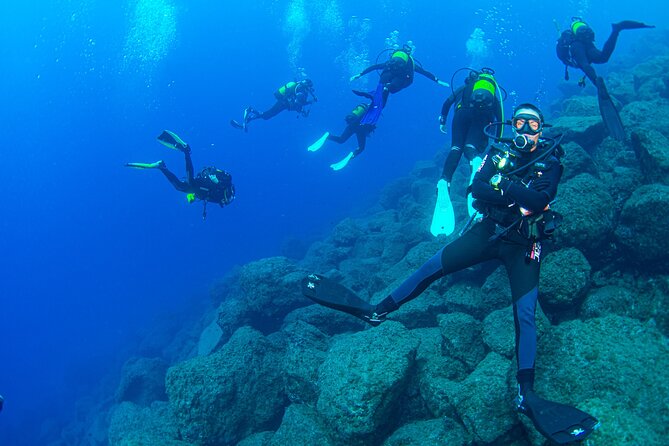 Guided Immersion from Santa Cruz de Tenerife - Radazul Bay, Tenerife: Why This Site Is So Convenient