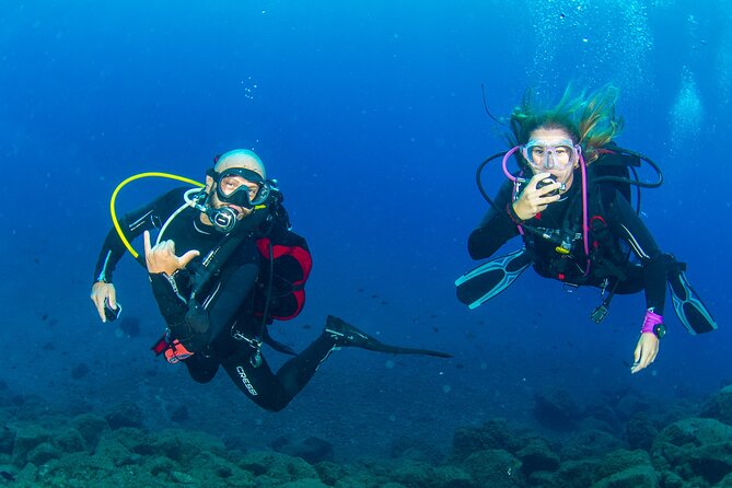 Guided Immersion from Santa Cruz de Tenerife - Value and Pricing: What $69.84 Buys You for 3 Hours