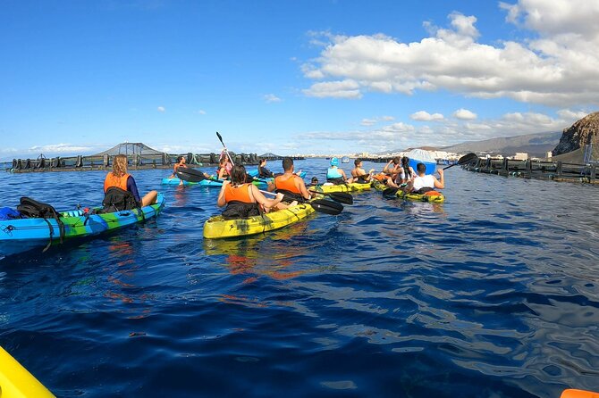 Guided Kayak Tour From Los Cristianos Beach Tenerife - Key highlights worth getting excited about