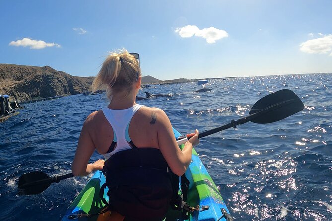 Guided Kayak Tour From Los Cristianos Beach Tenerife - Price and value: is $54.44 a fair deal for this Tenerife day?