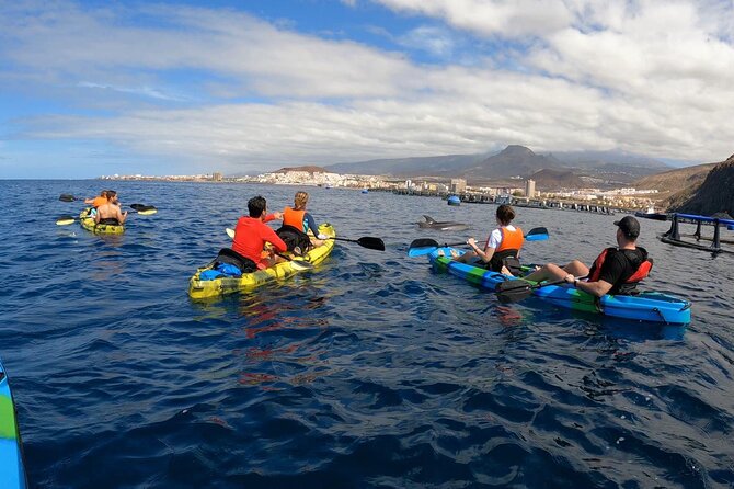 Guided Kayak Tour From Los Cristianos Beach Tenerife - What to pack and how to make the day smoother