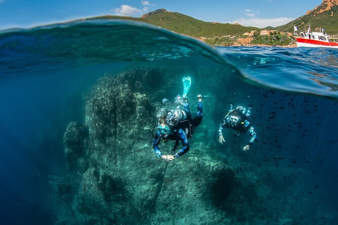 guided Scuba Diving on Tenerife (for certified divers) - Depth limits up to -18 m or -40 m, and what that means for your comfort