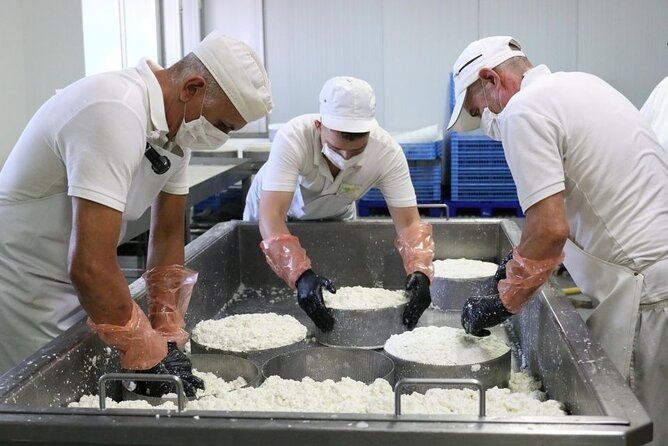 Guided Tour Montesdeoca Cheese Factory - Cheese and Wine Tasting - The Farm Side: Feeding and Milking the Goats