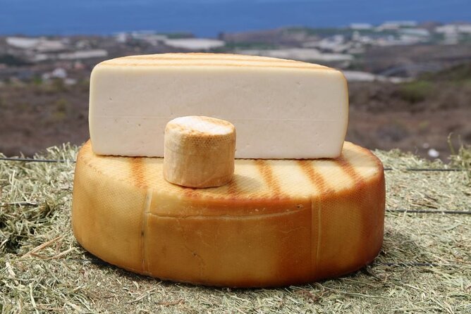Guided Tour Montesdeoca Cheese Factory - Cheese and Wine Tasting - Inside the Factory: Seeing Goat Cheese Made by Hand