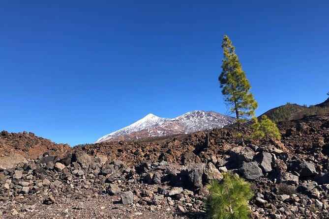 Guided Tour to Teide National Park in Tenerife - Key things to know before you go