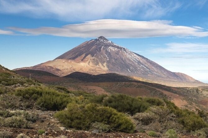 Guided Tour to Teide National Park in Tenerife - Price and what you truly get for $66.08