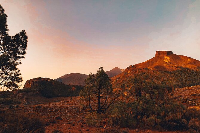 Guided Tour to Teide National Park in Tenerife - Vilaflor stop: coffee break in Tenerife’s high village