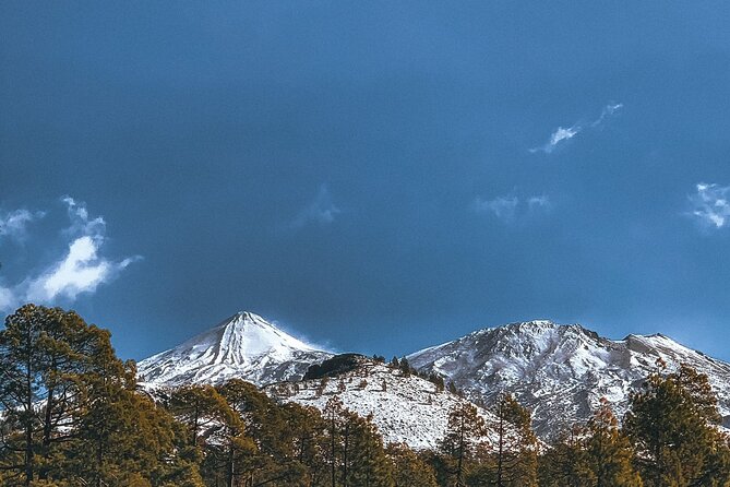 Guided Tour to Teide National Park in Tenerife - Group size, languages, and how the guide adds value