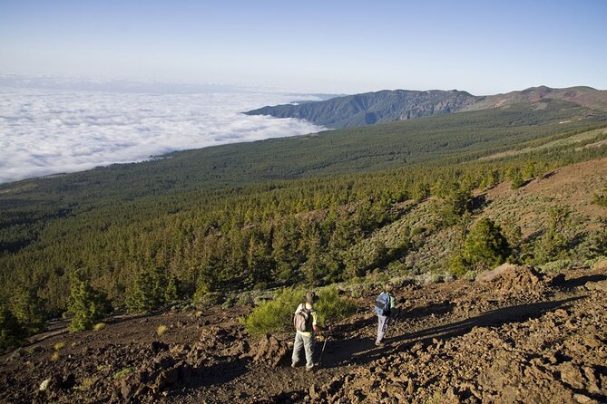Guided Tour to Teide National Park in Tenerife - Who should book this Teide day trip, and who might skip it