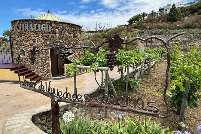 Guided Tour with 6 Wine Tasting - Where the tour starts at Bodegas Viñátigo (and why it matters)