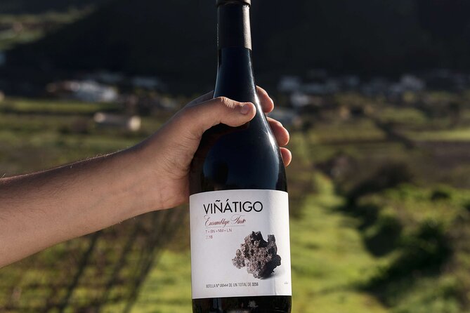 Guided Tour with 6 Wine Tasting - Inside the winery: architecture and methods in plain language