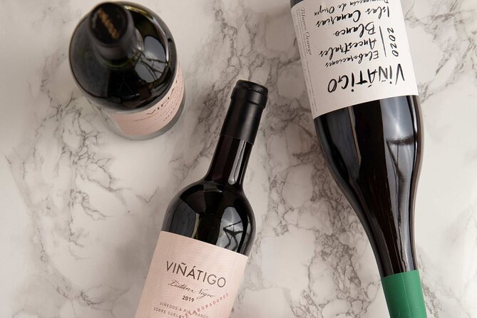 Guided Tour with 6 Wine Tasting - The tasting of 6 wines: commentary you can actually use