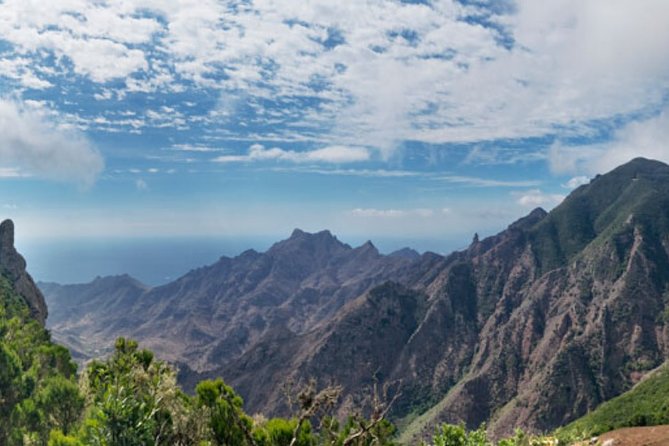 Half Day Tour Discovering Anaga Tenerife - Entering Anaga Rural Park, where the island’s weird plants matter