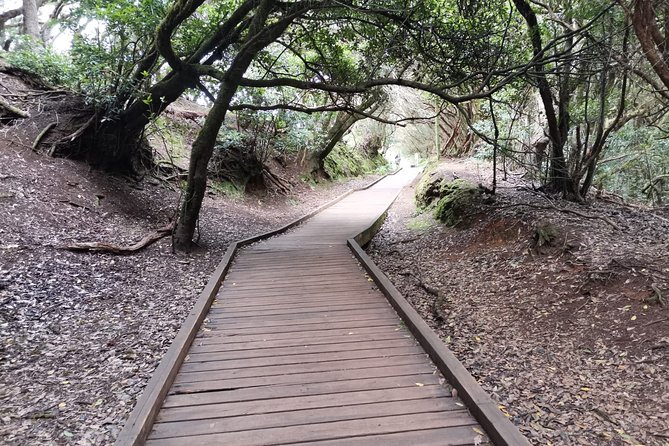 Half Day Tour Discovering Anaga Tenerife - Playa de las Teresitas, the iconic Santa Cruz reset