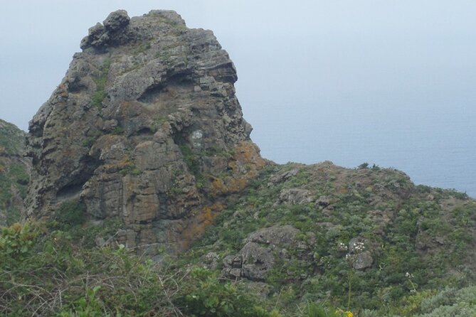 Half Day Tour Discovering Anaga Tenerife - Sendero de los Sentidos trail 1, a short sensory walk with easier footing