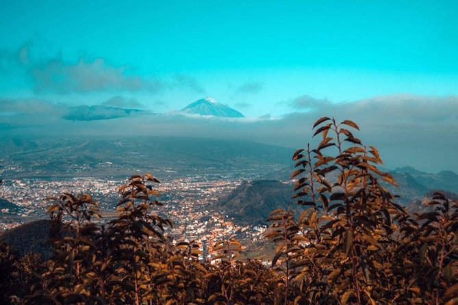 Half Day Tour Discovering Anaga Tenerife - Cruz del Carmen, Vega Lagunera, and the Teide view line
