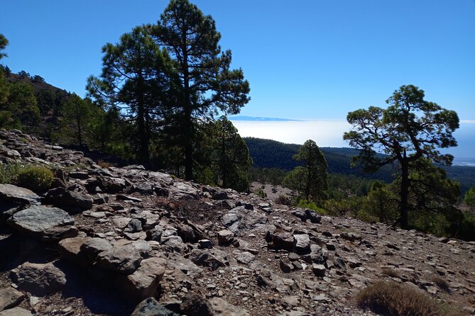 Hiking in Tenerife's Great Outdoors - The 5-hour hiking reality: distance, climbs, and how long you’ll be outside