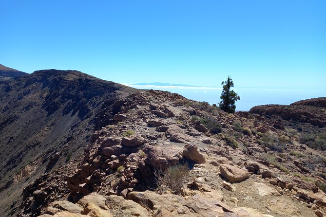 Hiking in Tenerife's Great Outdoors - What you’ll see on the Teide walk, from Teide views to volcanic contrast