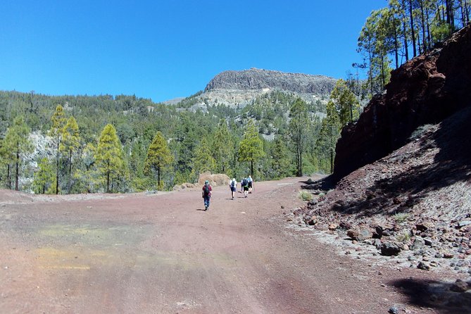 Hiking in Tenerife's Great Outdoors - Photo stops and the picnic break: why the pacing feels right