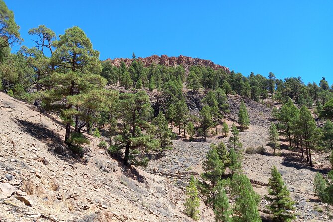 Hiking in Tenerife's Great Outdoors - What to bring, since equipment and lunch aren’t included