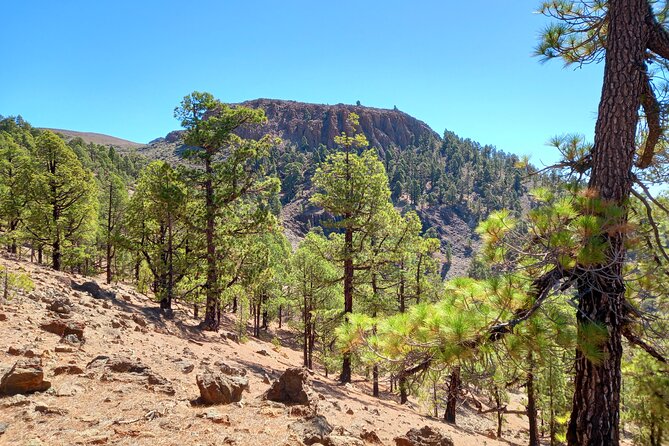 Hiking in Tenerife's Great Outdoors - Weather and rerouting: when the hike goes ahead