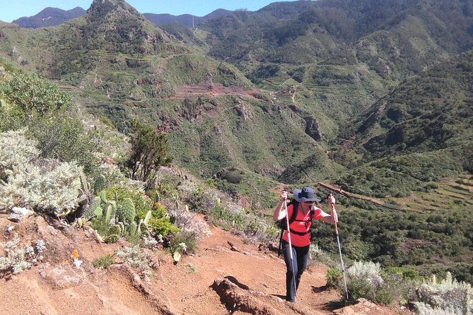 Hiking tour in the Anaga biosphere reserve in Tenerife - Parque Rural de Anaga: The Laurel Forest and Volcanic Feeling