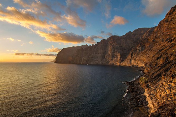 Island Tour Candelaria, La Orotava, La Laguna, Garachico, Masca - El Drago Milenario: The Oldest Tree Moment Plus Canarian Tastes (40 Minutes)