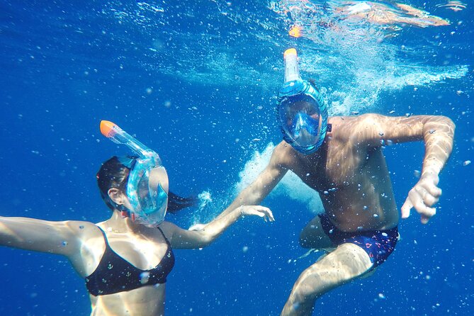 Kayak Route along the Volcanic Coast in Tenerife South with Snorkeling - Meet-Up, Gear Hand-Off, and the Timing That Makes It Smoother