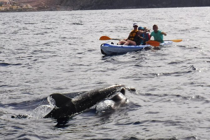 Kayak Route along the Volcanic Coast in Tenerife South with Snorkeling - Guide Style, Personality, and Why It Affects Your Safety and Fun